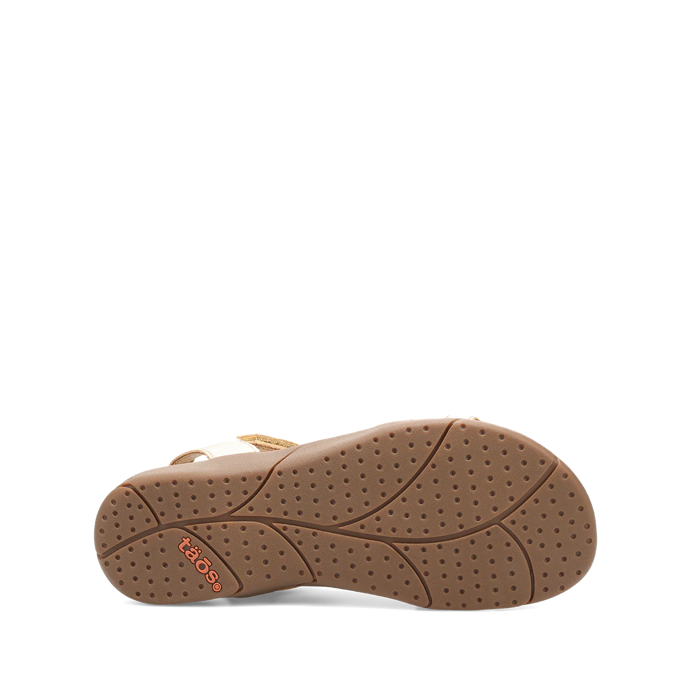 Trophy 2 - Image 5
